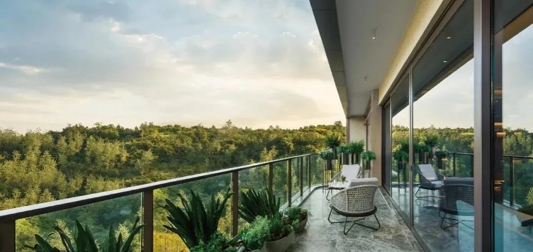 1645084963279835.jpg 23.webp.jpg